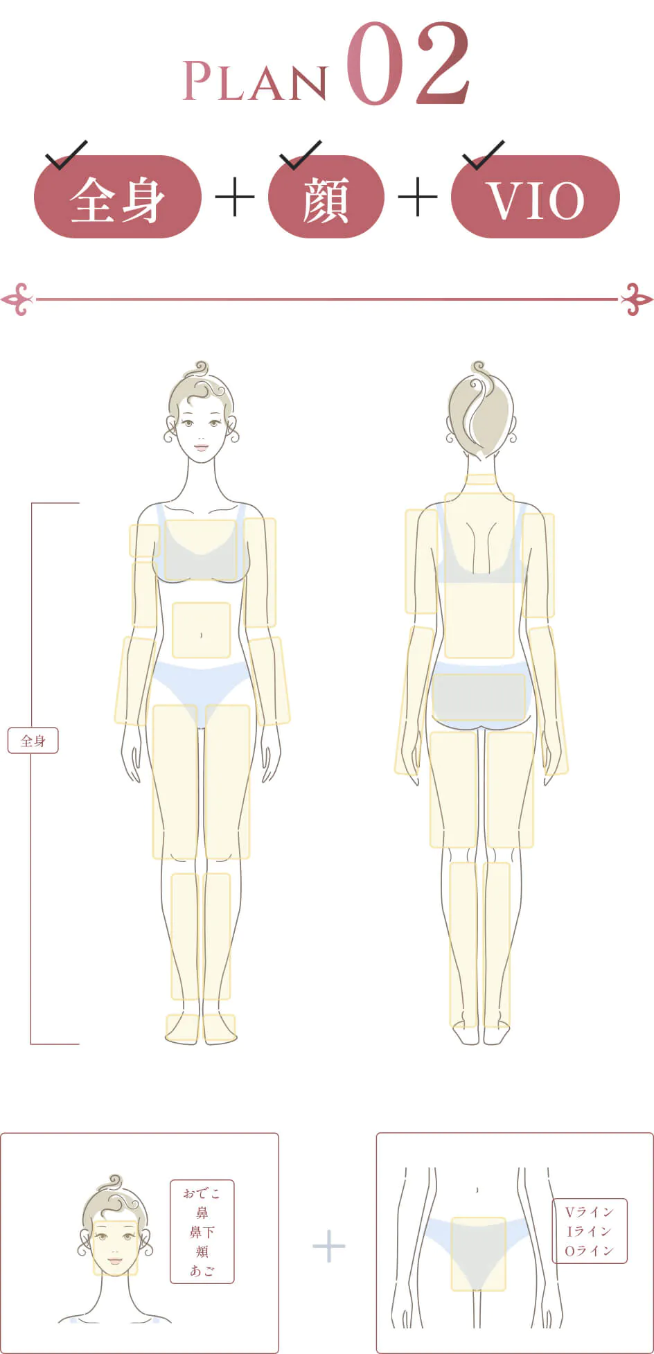 Plan02 全身＋顔(おでこ・鼻・鼻下・頬・あご)＋VIO