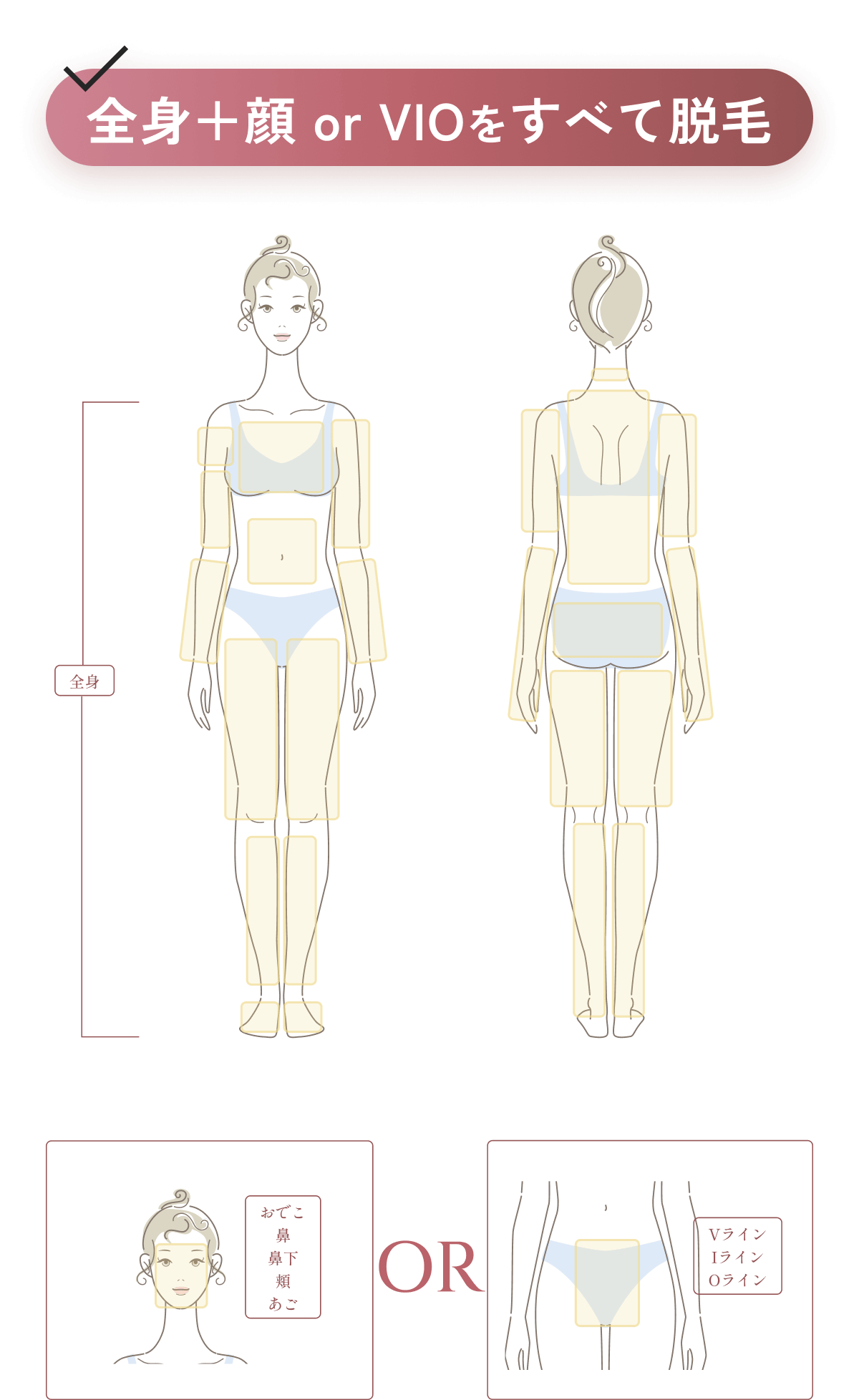 全身＋顔(おでこ・鼻・鼻下・頬・あご) or VIOをすべて脱毛