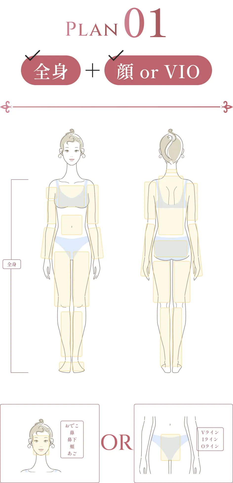 Plan01 全身＋顔(おでこ・鼻・鼻下・頬・あご) or VIO