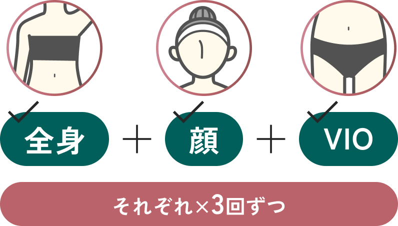 全身プラス顔プラスVIO それぞれ×3回ずつ